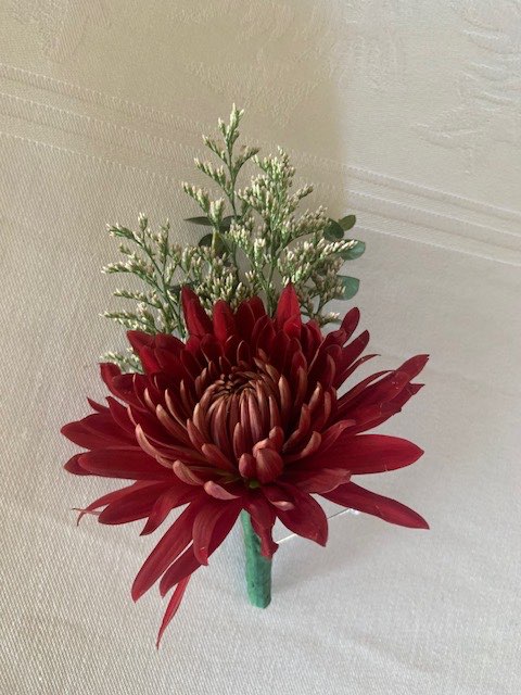 Burgundy spider mum boutonniere